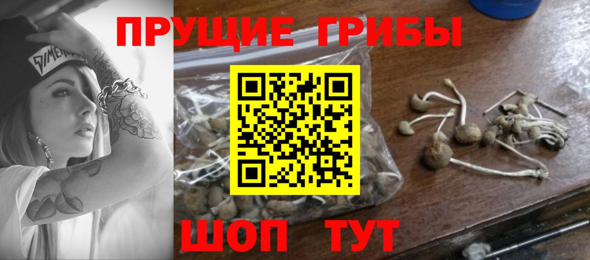 Брянск  Галлюциногенные грибы Psilocybine cubensis  Вход с VPN  Галлюциногенные грибы GOLDEN TEACHER 