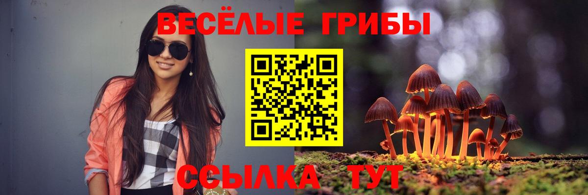 Галлюциногенные грибы ЛСД Брянск